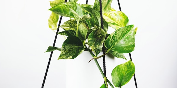 世界杯足球比赛精彩瞬间 - 球员射门画面